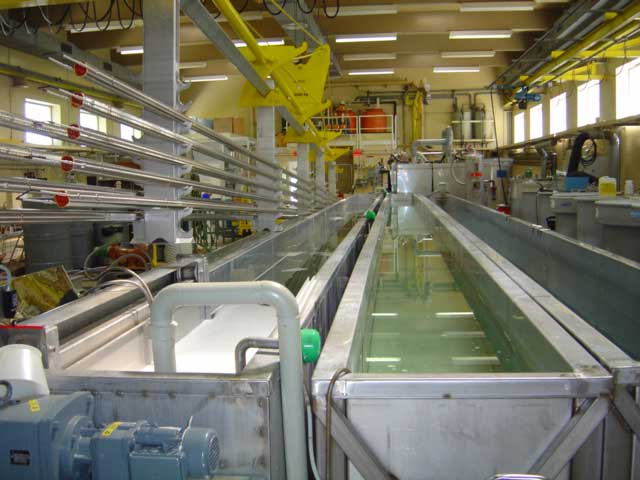 pompe plastique pour chainen de traitement de surface