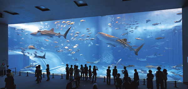 pompe d'eau de mer pour aquarium g�ant
